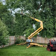 Best Tree Mulching  in Spring City, TN